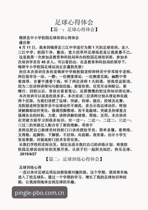 资深玩家分享：平博体育平台使用心得，投注安全吗？我的真实体验